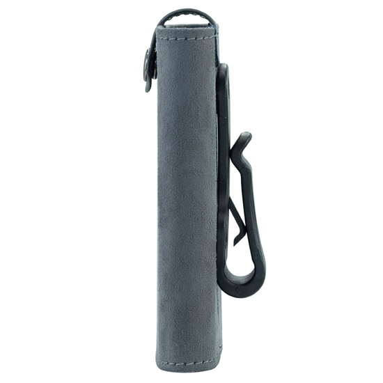 iFi Audio xDSD Gryphon Case Pro