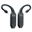 iFi Audio GO pod Air
