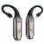 iFi Audio GO pod Max