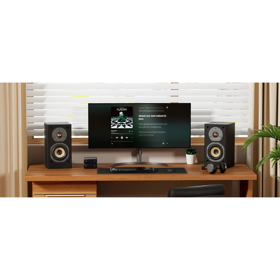 Fosi Audio V3 Mono+48V/5A