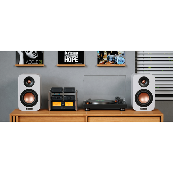 Fosi Audio V3 Mono+48V/5A