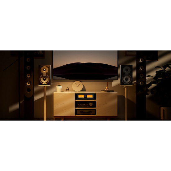 Fosi Audio LC30 VU Meter Amplifier Speaker Selector