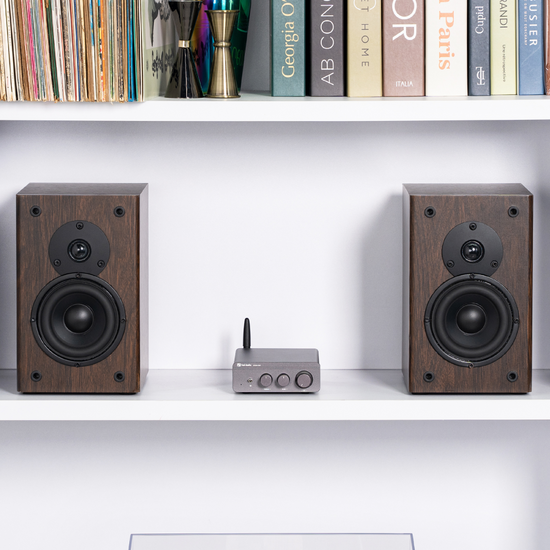 Fosi Audio BT20A Pro+32V/5A