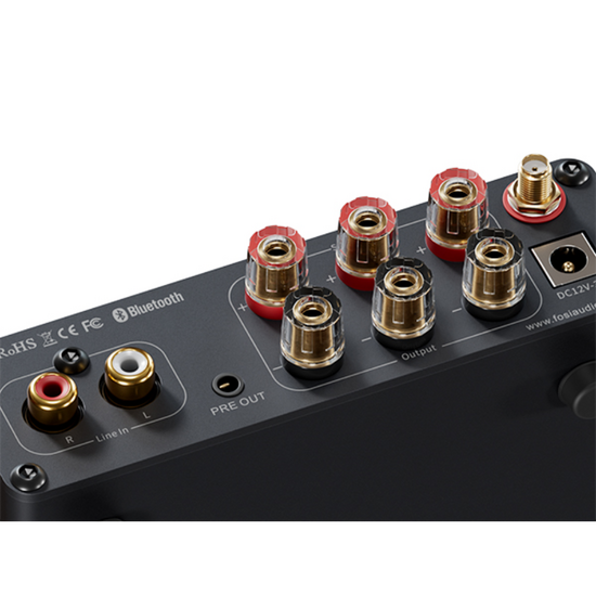 Fosi Audio BT30D Pro+32V/5A