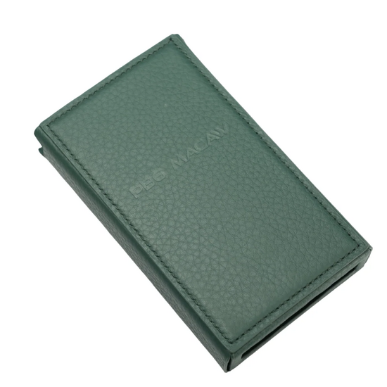 iBasso PB6 Macaw Leather Case