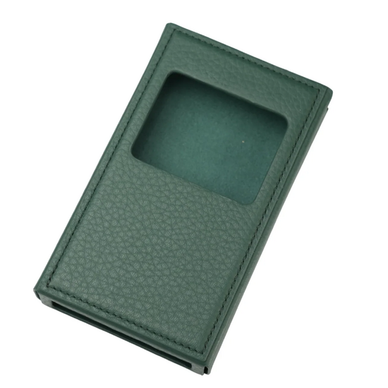iBasso PB6 Macaw Leather Case