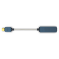 iFi Audio GO link 2 Max