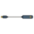 iFi Audio GO link 2 Max