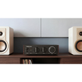 FIIO LEVEL 1