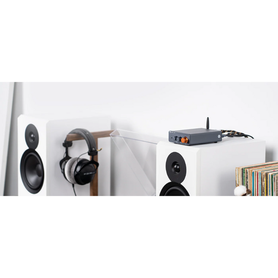 Fosi Audio BT20A Pro+32V/5A