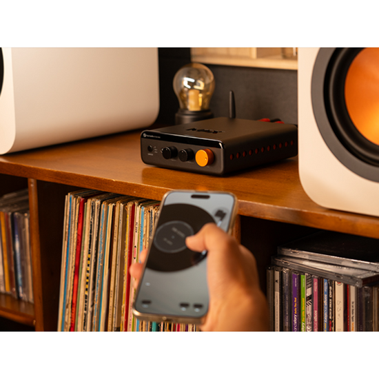 Fosi Audio BT20A MAX+48V/5A