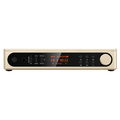 FIIO DM15 R2R