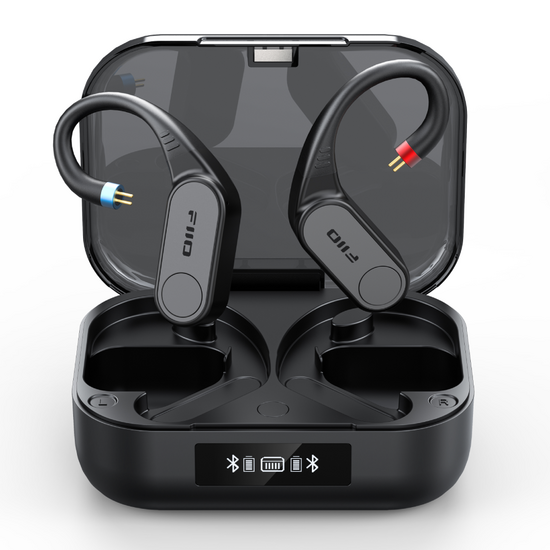 FIIO LINK TWS (UTWS17)