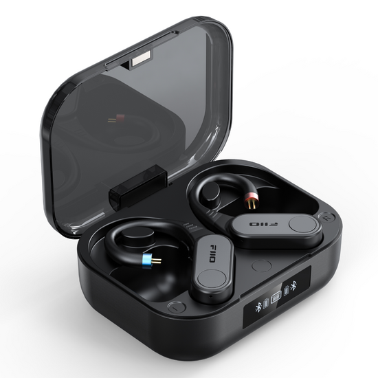 FIIO LINK TWS (UTWS17)