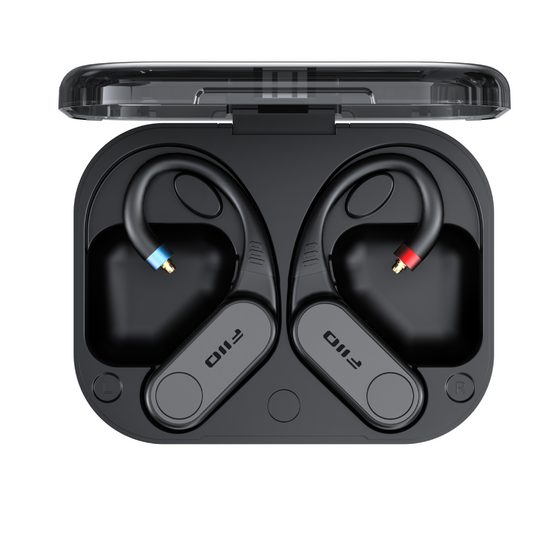 FIIO LINK TWS (UTWS17)