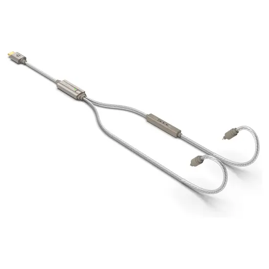 iFi Audio GO cable