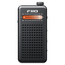 FIIO RR13