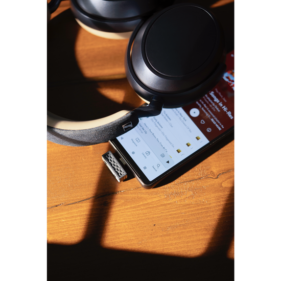 iFi Audio UP Play Max
