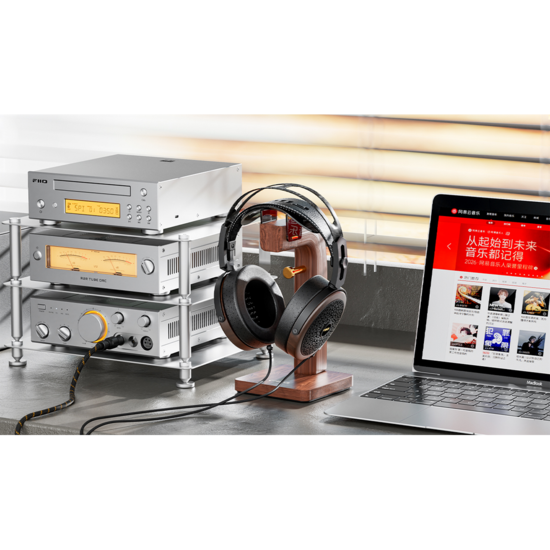 FIIO FT15