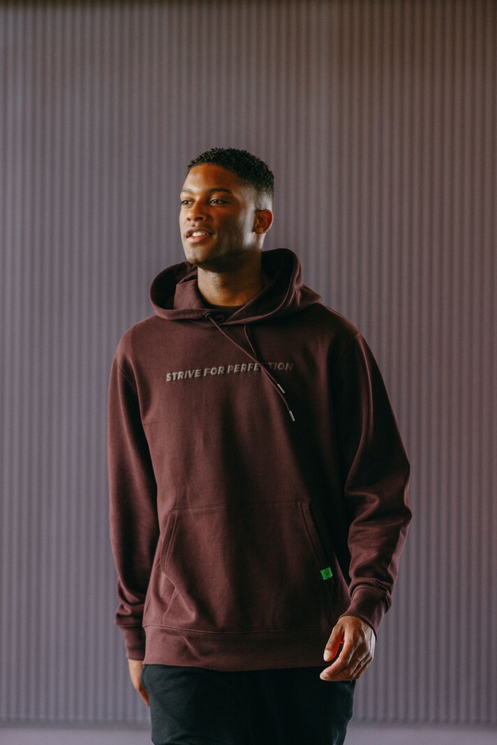 R.EV STRIVE FOR PERFECTION HOODIE BROWN