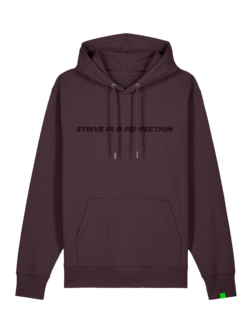 R.EV STRIVE FOR PERFECTION HOODIE BROWN