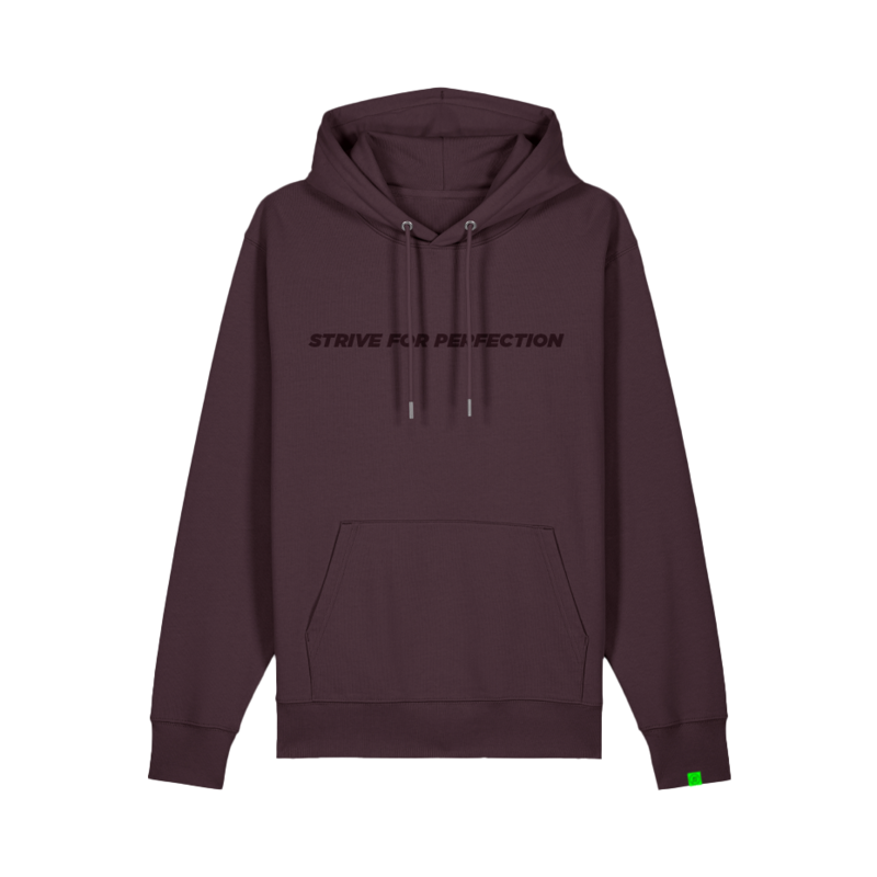 R.EV STRIVE FOR PERFECTION HOODIE BROWN