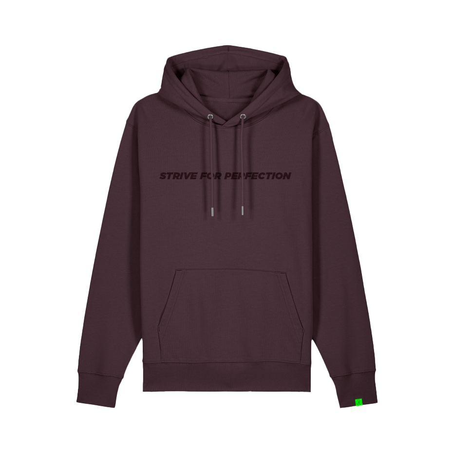 R.EV STRIVE FOR PERFECTION HOODIE BROWN