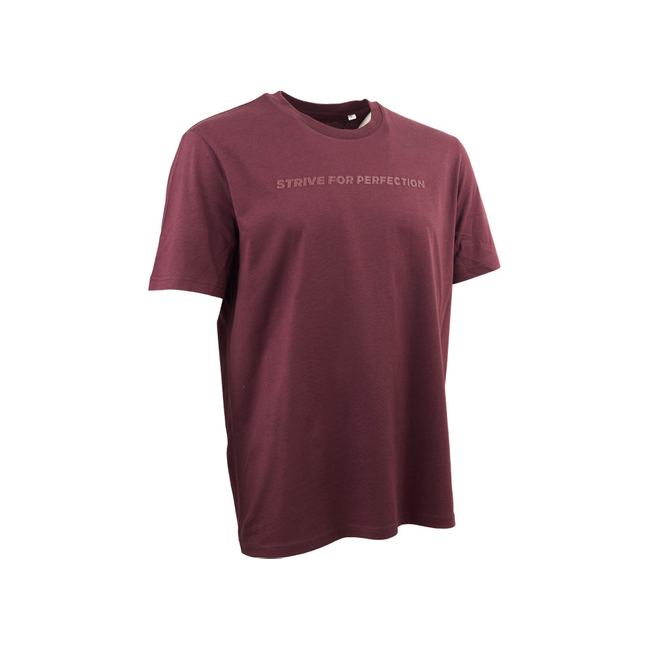 R.EV STRIVE FOR PERFECTION T-SHIRT RED BROWN