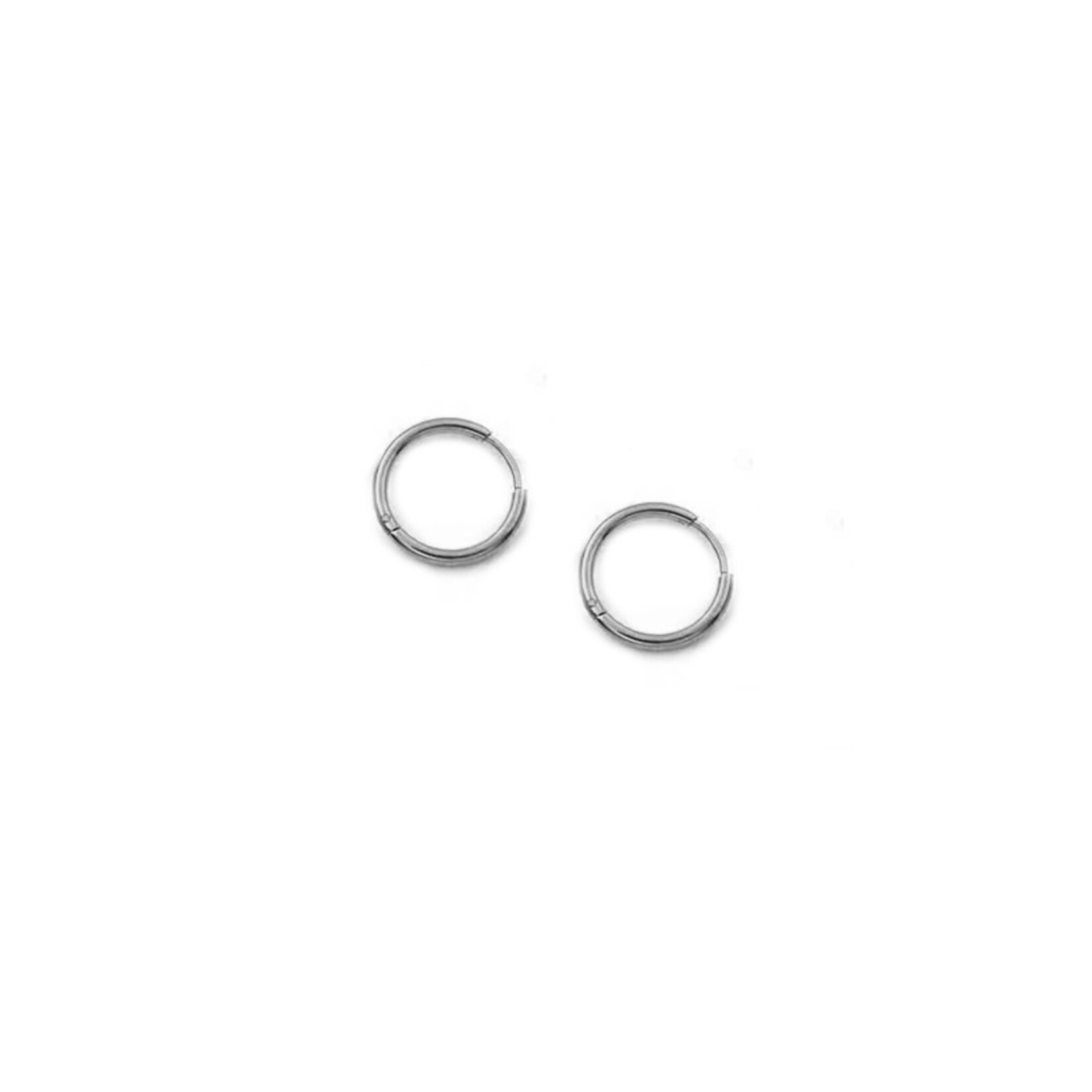 Carriez Zilveren oorringen klein 12 14 16 of 18 mm- stainless steel