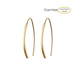 Carriez Gouden haak oorhangers - stainless steel