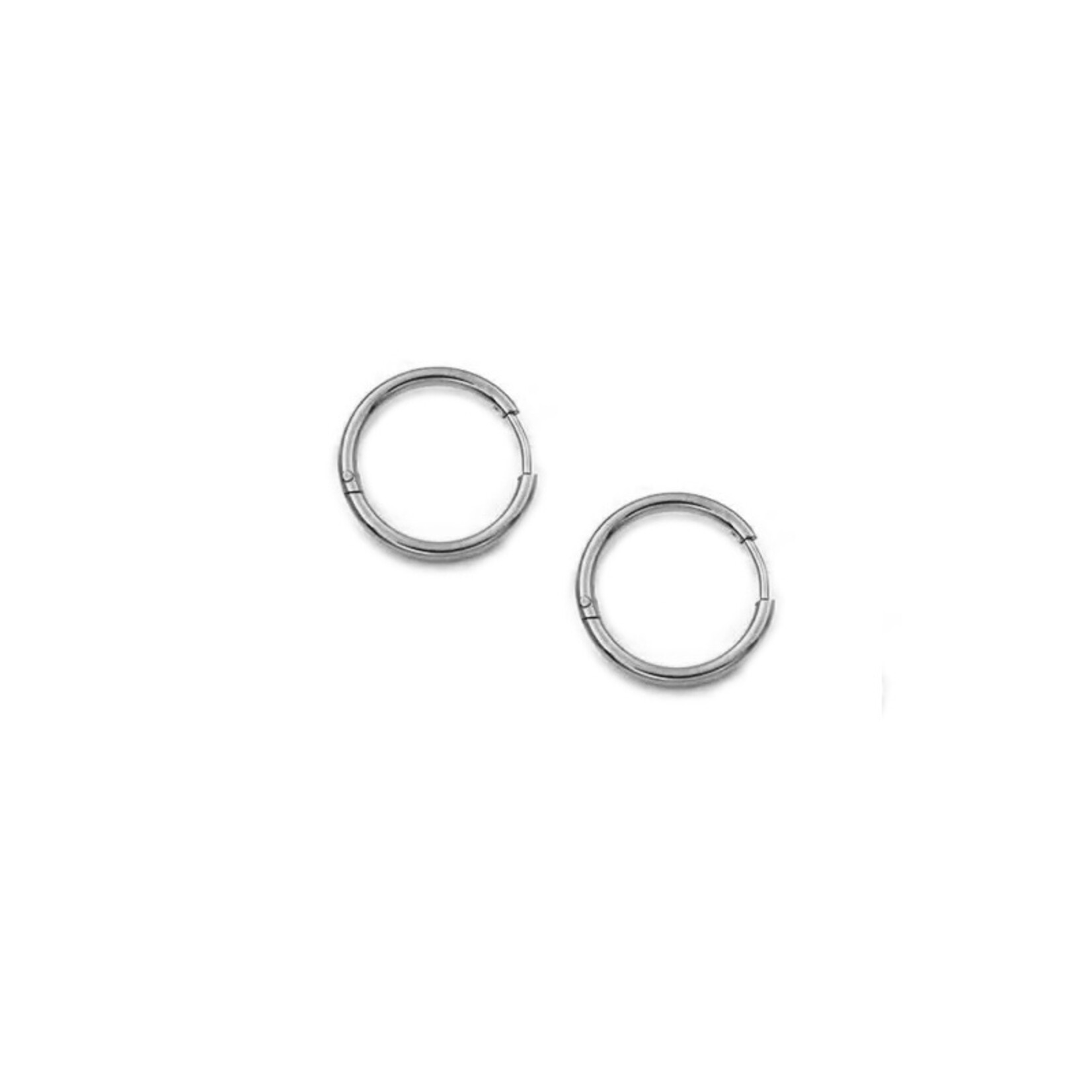 Carriez Zilveren oorringen klein 12 14 16 of 18 mm- stainless steel