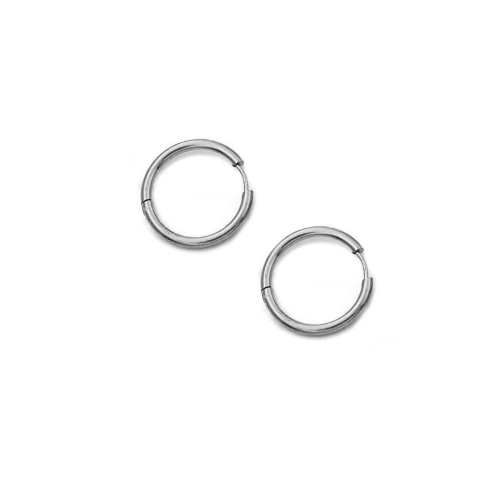 Carriez Zilveren oorringen klein 12 14 16 of 18 mm- stainless steel