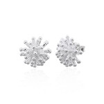 Carriez Cluster oorstekers - 925 zilver