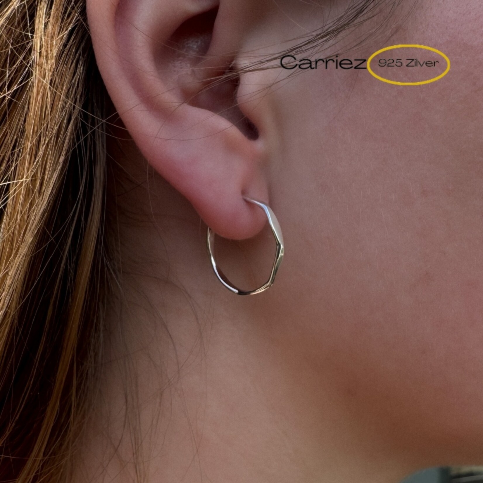 Carriez 925 zilveren gefacetteerde oorstekers