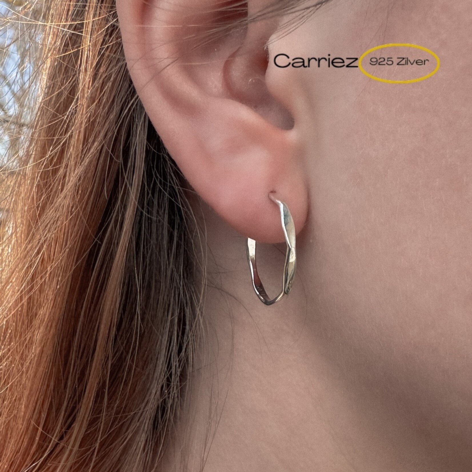 Carriez 925 zilveren gefacetteerde oorstekers