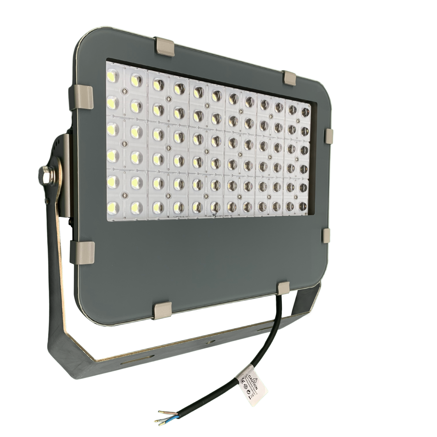 TETRA-316 - RVS LED SCHIJNWERPER - 100 WATT - 60⁰  LICHTBUNDEL - 230V