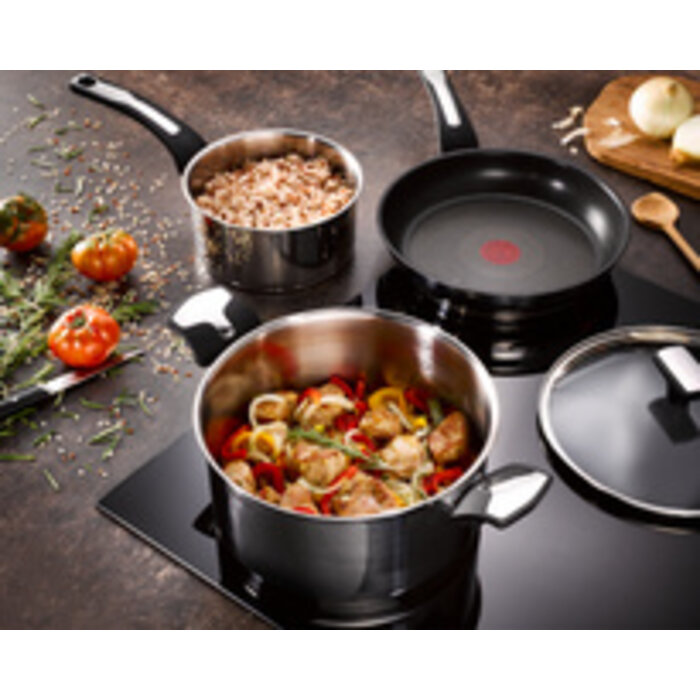 Tefal Tefal Emotion kookpan 24 cm