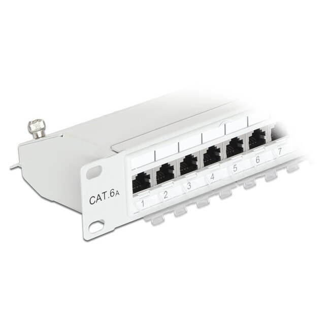 Delock 19 inch patch panel | 24x RJ45 | CAT6a | STP | 1U | grijs