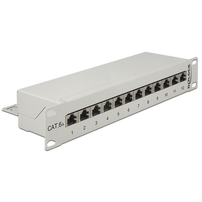 DeLOCK 43308. Aansluiting(en): RJ-45, Ondersteundende kabel types: Cat6a. Kleur van het product: Grijs, Materiaal: Metaal, Montage: Rekmontage. Breedte: 254 mm, Hoogte: 44 mm, Diep