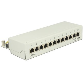 DeLOCK Premium CAT6a Gigabit Desktop Patch Panel 1U met 12 poorten - afgeschermd / grijs