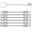 RJ12 - RJ12 telefoon verlengkabel / zwart - 2 meter