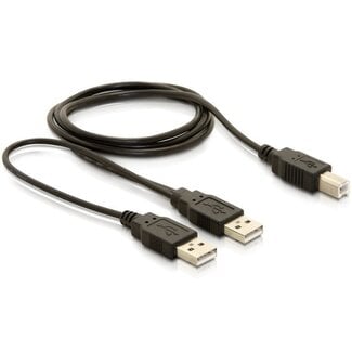 DeLOCK USB naar USB-B Y-kabel - USB2.0 - tot 0,5A / zwart - 1 meter