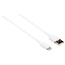 8-pins Lightning naar USB-A kabel - USB2.0 - tot 3A / wit - 3 meter
