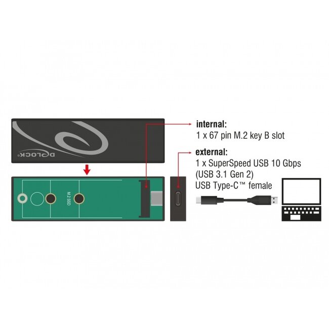 DeLOCK externe behuizing voor M.2 SSD (max. 80mm) - USB3.1 / zwart