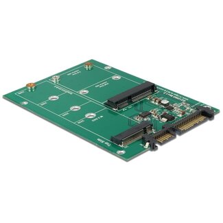 DeLOCK SATA 22-pins naar mSATA en M.2 converter in 2,5'' formaat