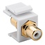 Tulp Keystone module - Tulp (v) | audio links (wit) | verguld | wit