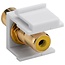 Tulp Keystone module - Tulp (v) | video (geel) | verguld | wit