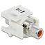 Tulp Keystone module (verzonken) - Tulp (v) | audio rechts (rood) | wit