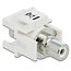 Tulp Keystone module (verzonken) - Tulp (v) | audio links (wit) | wit
