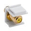 Tulp Keystone module - F (v) | video (geel) | verguld | wit